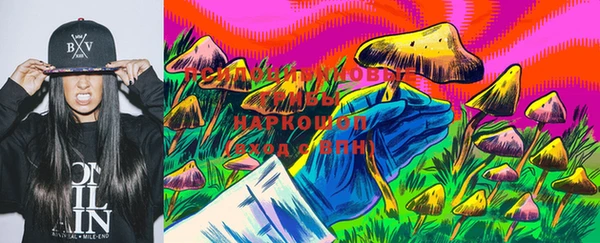 ECSTASY Белокуриха