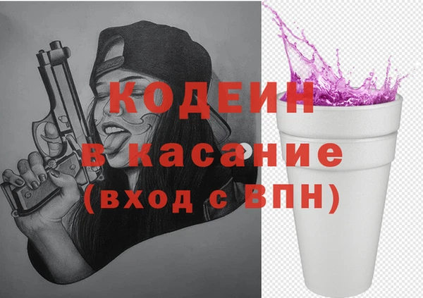 индика Семилуки