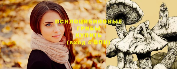 mdpv Белоозёрский