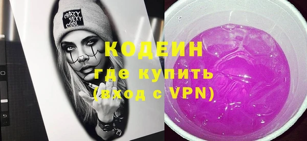 индика Семилуки